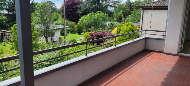 Via San Gottardo 53, 6877, Coldrerio - Photo 1