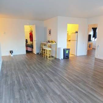 Big Downtown 1 bedroom 3 1/2 (All included) - Lease transfer - Photo 1