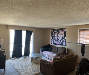 1 bed – 1 bath Apartment - Photo 1