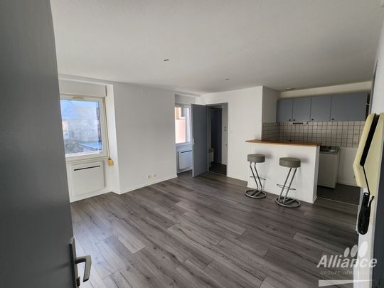 Location Appartement 2 pièces 34m² BELFORT 90000 - Photo 1