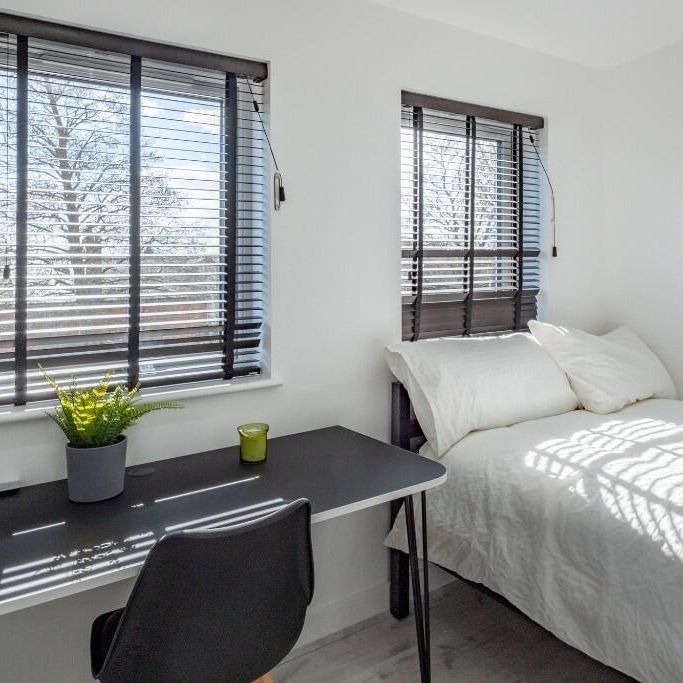 6 bedroom house to rent - Photo 1