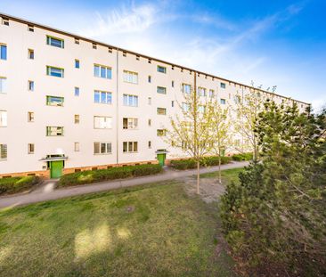 Wohnen in Haselhorst - Foto 1