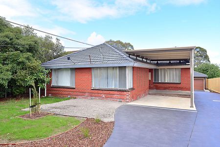 1/6 Hodgkinson Court, Springvale VIC 3171 - Apartment For Rent | Domain - Photo 2