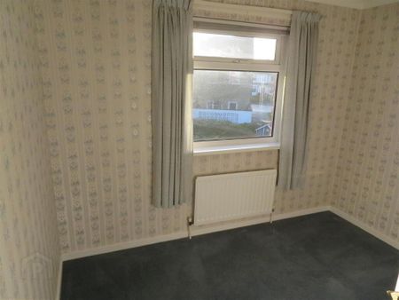 6 Demesne Avenue, Lurgan, BT66 7BL - Photo 5