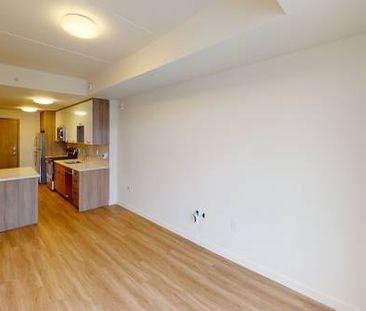 1 Bedroom Apartment - Walnut Place - Hamilton - Photo 2