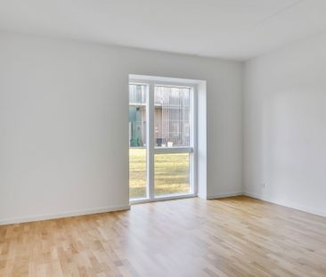 Pilehøj 1B, st. 3., 3460 Birkerød - Foto 5