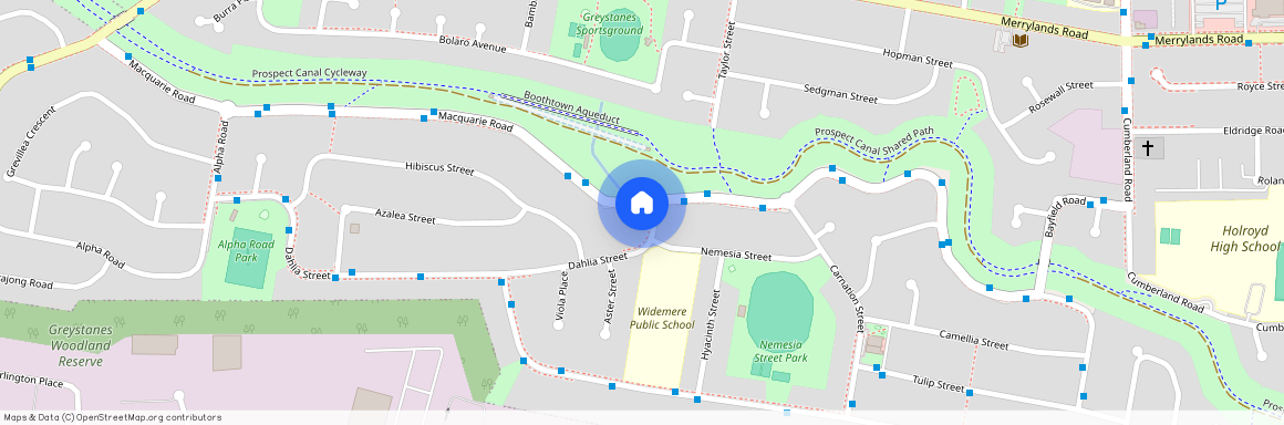 1a Dahlia St, Greystanes