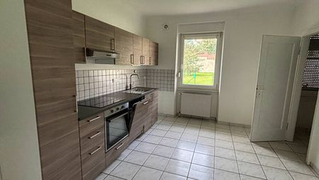 À louer : Appartement 3 pièces en rez-de-chaussée avec cave et jardin commun - Photo 5
