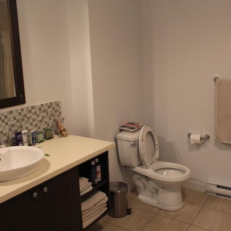 Beau Grand 4 1/2 Secteur Cartierville - Photo 4