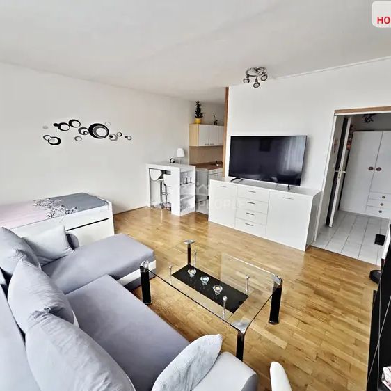Pronájem bytu 1+kk Brno, ul. Hochmanova 31 m - Photo 1