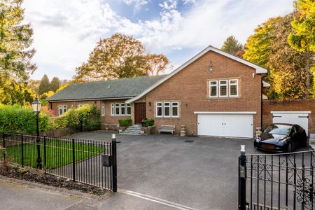 3 bed detached bungalow to rent in South Drive, Woolsington, NE13 - Photo 4