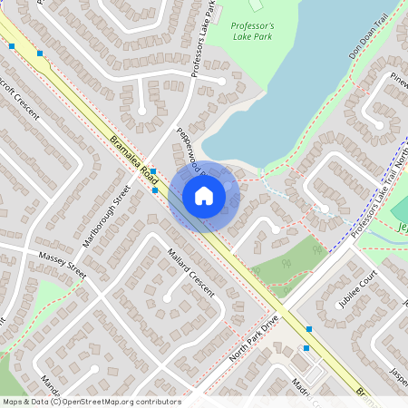 20 Pepperwood Place Unit# BSMT, Brampton