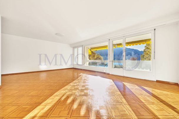 SPACIEUX AVEC BALCONS ET VUE LAC - EMPLACEMENT IDYLLIQUE - Photo 1