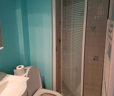 Location Appartement 23m² NANCY 54000 - Photo 2