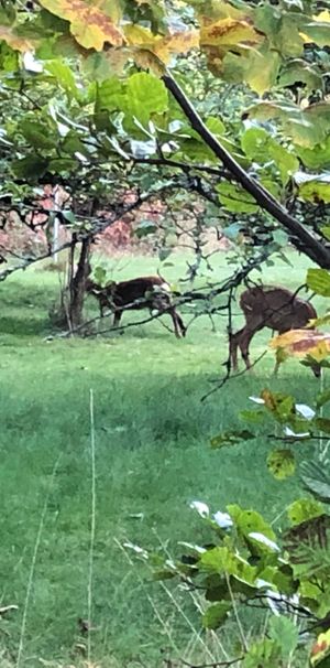 Sörbyvägen, Örebro - Photo 1