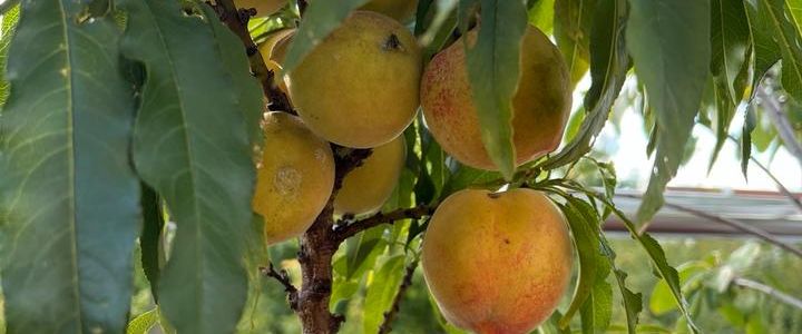 Mietwohnung gesucht - Foto 1