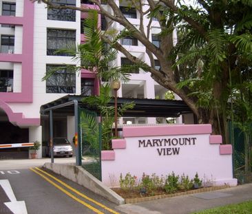 Marymount View (D20), Condominium - For Rent - Photo 4