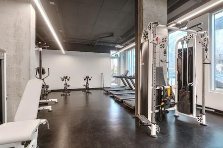 ERIN Condo apartments for rent in Pointe-Saint PSC - Photo 2