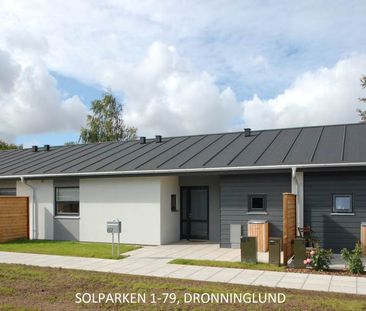Dronninglund - Photo 3