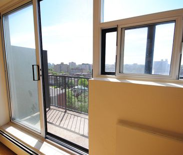 335 MacLaren Street, Centretown, Ottawa, ON - Photo 1