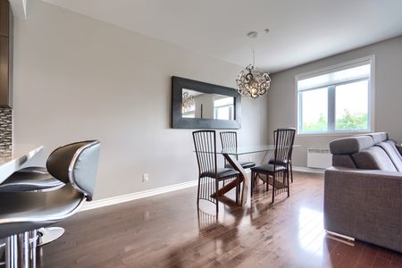 Condo for rent, Montréal (Ville-Marie) - Photo 4