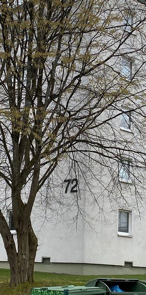 Demnächst frei! 3-Zimmer-Wohnung in Siegen Dillnhütten - Photo 1