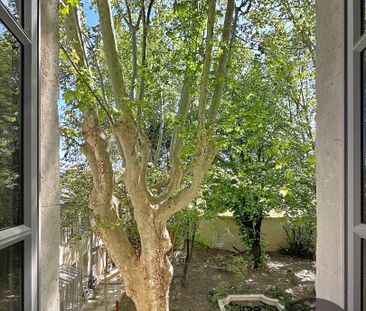 BIEN RARE A LOUER AVIGNON INTRAMUROS ( 84000 ) : charmant apparteme... - Photo 3