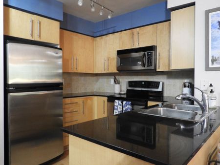 For Lease - 219 Fort York Boulevard Unit# 410, Toronto, Ontario - Photo 5