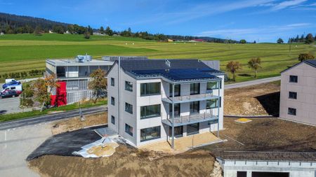 New 2.5-room apartment - 1st floor Beautiful view of the Alps - Photo 3