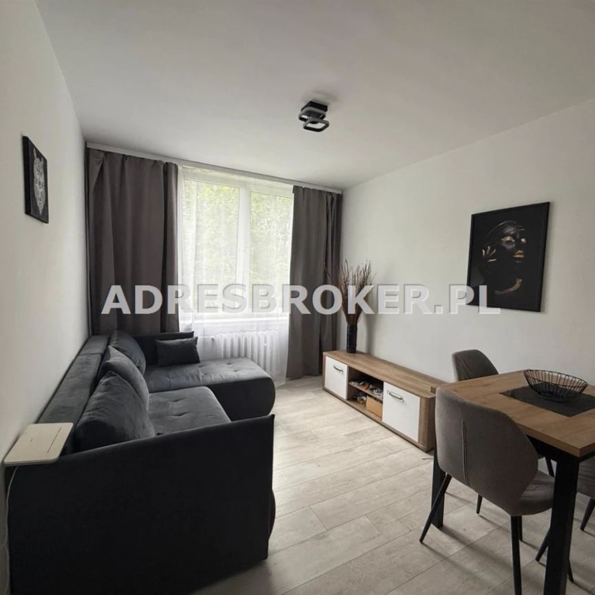 Mieszkanie, wynajem Gliwice, Sikornik - Zdjęcie 1