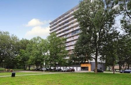 Elviraland 0ong, 2591 GE Den Haag, Nederland - Foto 3