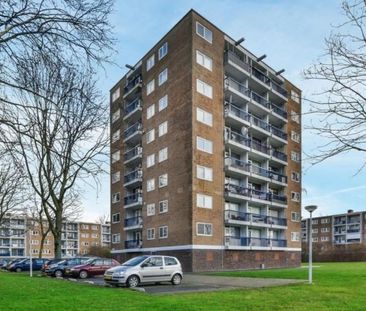 Zuidervaart 0ong, 1504 Zaandam, Nederland - Foto 2