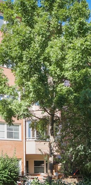 Odalvägen 28 - Foto 1