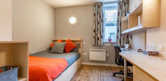 Single Studio - Photo 2