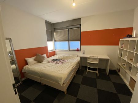 Te huur: Huis Vlinder in Veldhoven - Photo 5