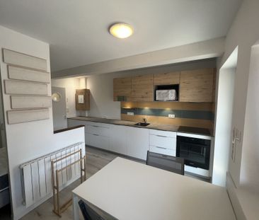 Appartement 20 m² - 1 pièce - Andolsheim (68280) - Photo 4
