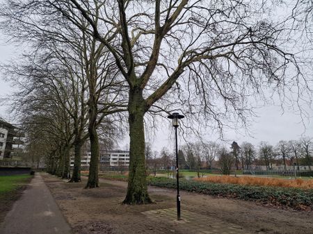 Henriette Ronnerstraat 53 - Foto 3