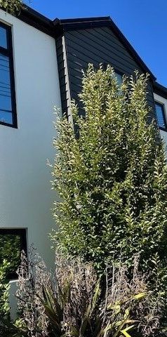 Lovely modern townhouse in great location! - Photo 1