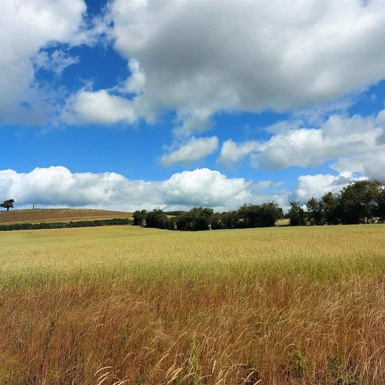 3 bedroom house to rent - Photo 1