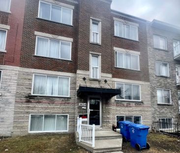 3834 Rue Rachel E., app.2, H1X 1X9, H1X 1X9, Montréal - Photo 1