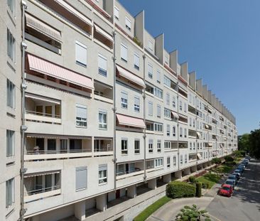 Quartier de la Gradelle - Chêne-Bougeries - Photo 1