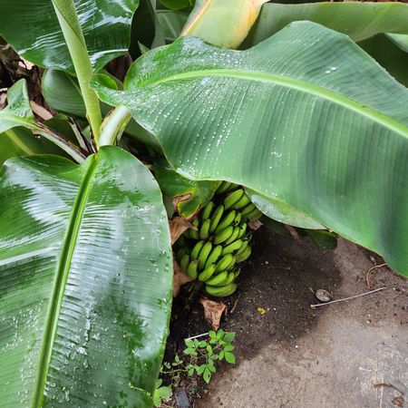 Trinity Beach - Photo 4