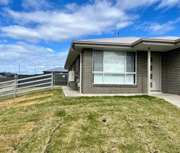 MOORE CREEK- New 1 Bedroom Granny Flat - Photo 6