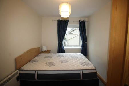 Mount Oval Village, Rochestown - Photo 5