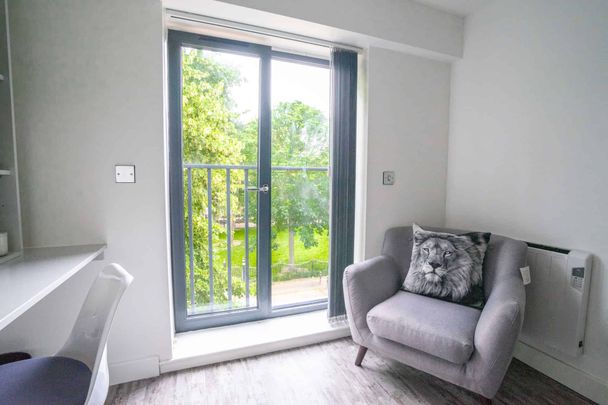 Deluxe Studio - Photo 1