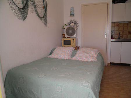 Location Appartement 1 pièce 18m² SETE 34200 - Photo 3