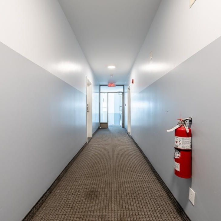 Appartement à louer - Montréal (Côte-des-Neiges/Notre-Dame-de-Grâce) (Côte-des-Neiges) Appartement à louer - Montréal (Côte-des-Neiges/Notre-Dame-de-Grâce) (Côte-des-Neiges) - Photo 1