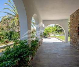 Διαμέρισμα για ενοικίαση - Ανθηδώνος, - Photo 3