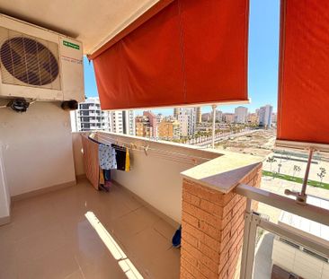 Apartment in Guardamar del Segura, PUERTO, for rent - Photo 3