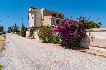 Μονοκατοικία για ενοικίαση Κίτσι (Κορωπί) - Photo 2